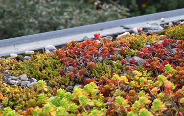 the cost of Walkford green roof installation
