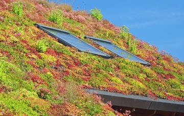 Walkford living roof systems