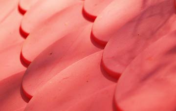 Walkford plastic roof costs