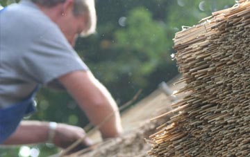 professional Walkford thatchers