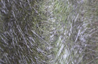 Walkford fibreglass roof work